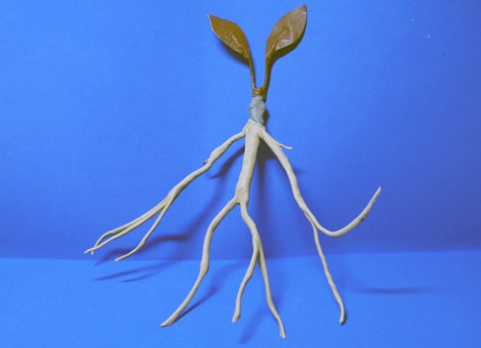 Фантастические твари