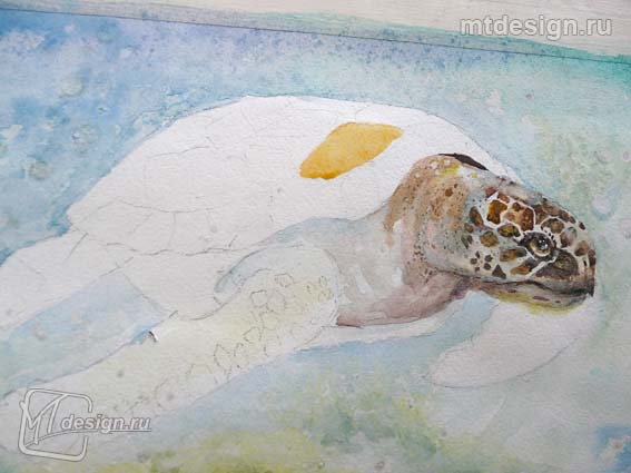 Урок рисования акварелью: черепаха под водой
