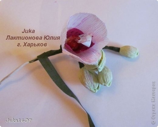 Букет из конфет: мастер-класс Букет из конфет: мастер-класс