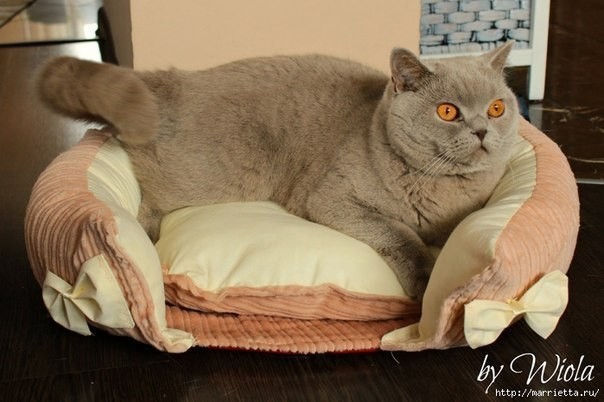 ​Удобный и красивый диванчик для кошки: мастер-класс