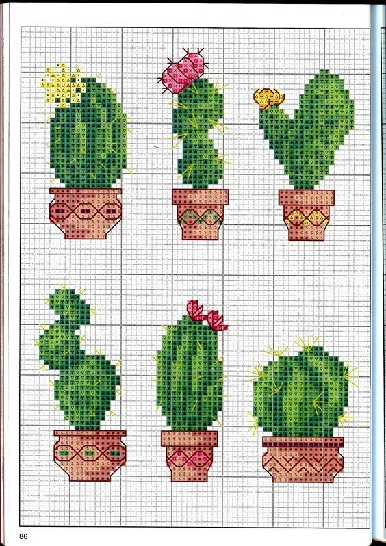 Вышиваем цветущие кактусы