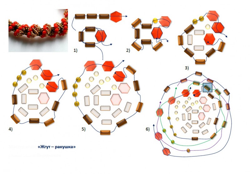 Жгут-ракушка