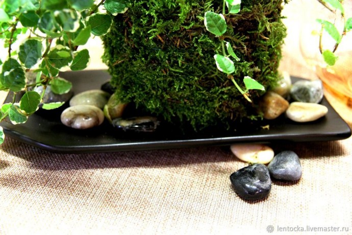 Лесной мох в интерьере
