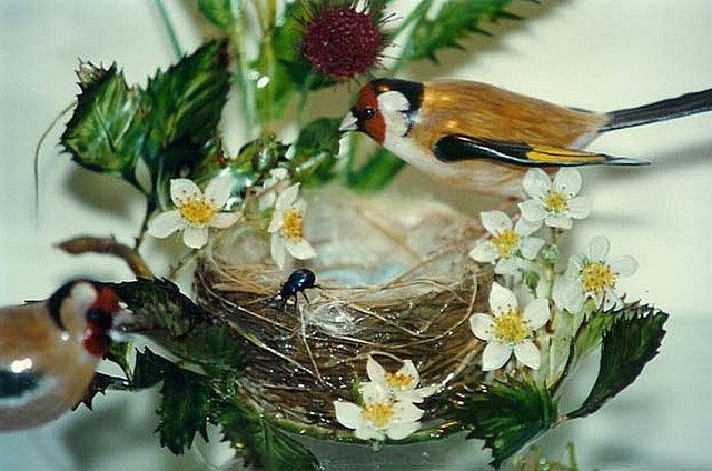 Невероятные работы из стекла