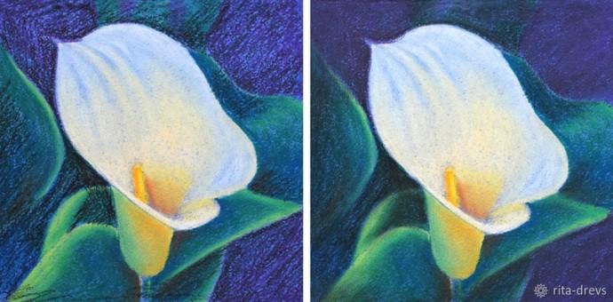 Рисуем пастелью изящный цветок каллы