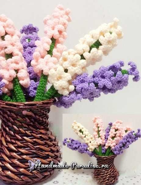 Гиацинт крючком