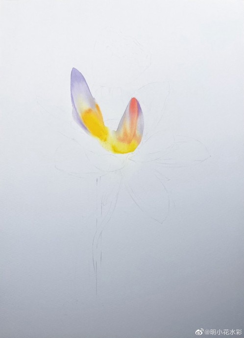 Урок рисования акварелью: лотос