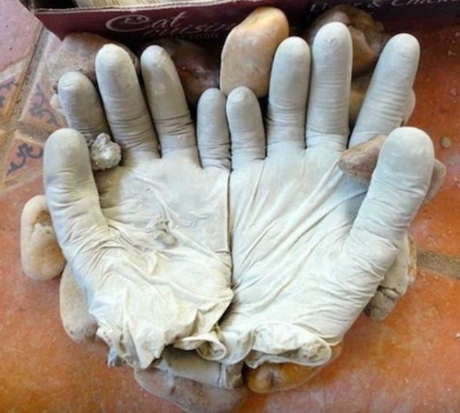 ​Цветы в ладонях