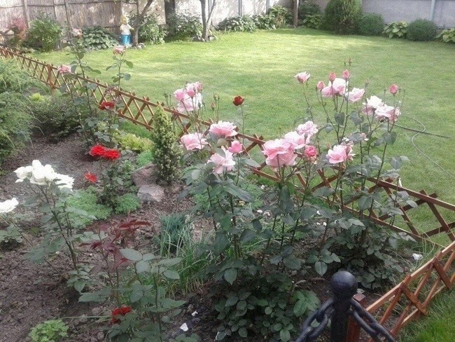 Делаем красивый и простой деревянный заборчик на дачу