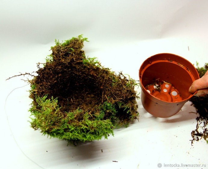 Лесной мох в интерьере