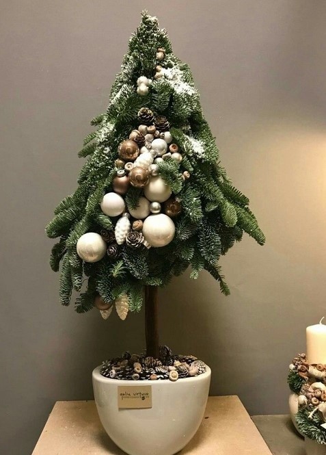 Креативные красавицы