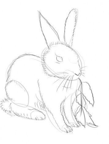 Рисуем кролика