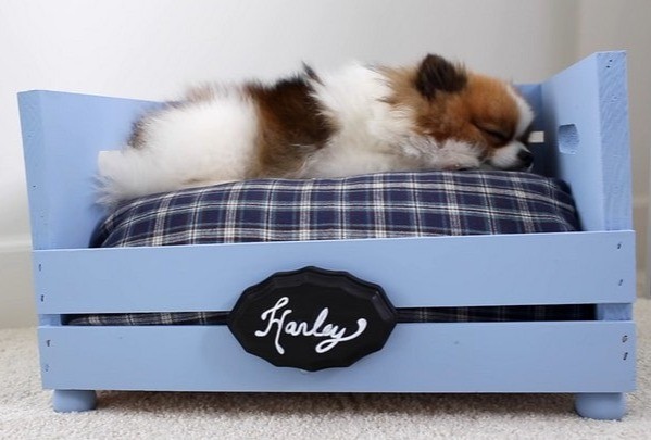 Уютная лежанка для счастья вашего пёсика