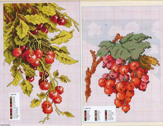 Ягоды и ягодки