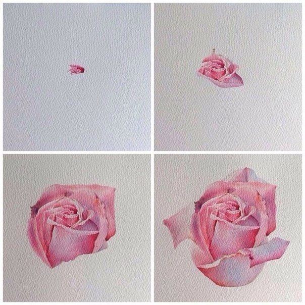 Рисуем акварельные розы: мастер-класс