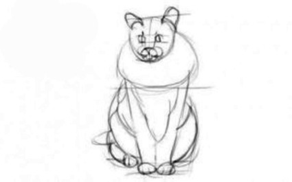 Рисуем кота мейн-куна