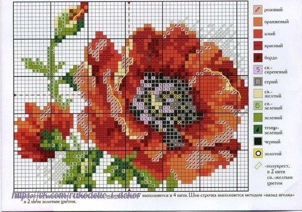 ​Вышиваем красивые маки