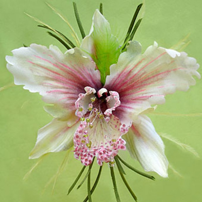 Брошь-орхидея "Лилу"