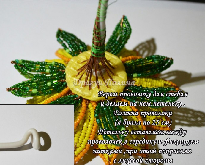 ​Солнечные подсолнухи