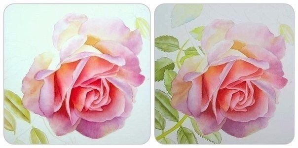 Учимся рисовать розу акварелью