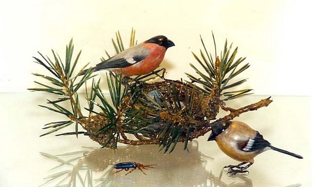 Невероятные работы из стекла