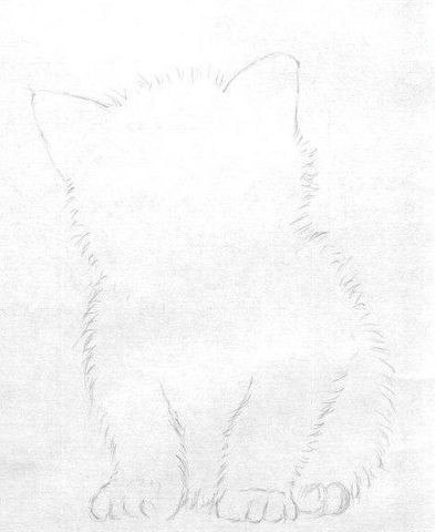 Рисуем чудесного котёнка