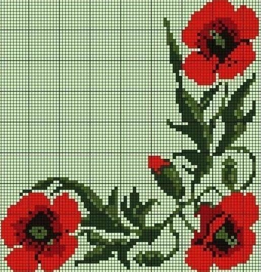 Красочные яркие маки