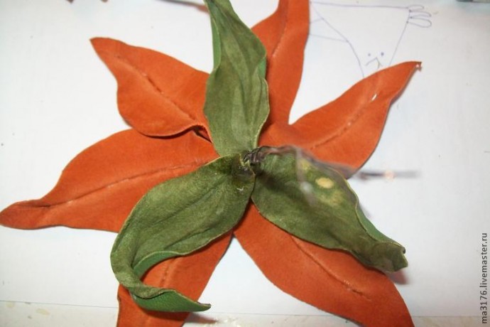 Огненная лилия