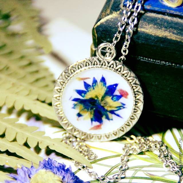 6 способов засушить васильки