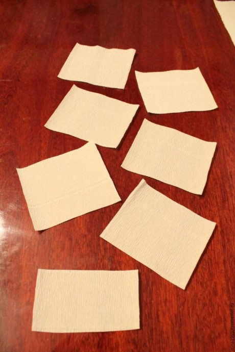 ​Самые сладкие астры