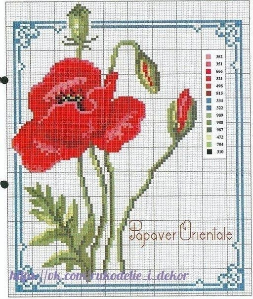 ​Вышиваем красивые маки