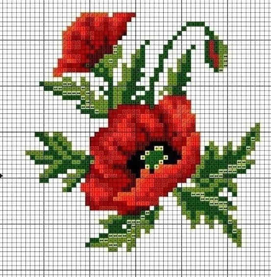 Красочные яркие маки