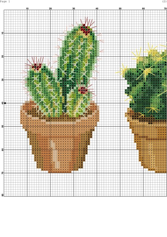 Вышиваем цветущие кактусы