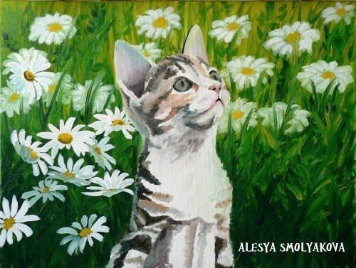 ​Котёнок среди ромашек