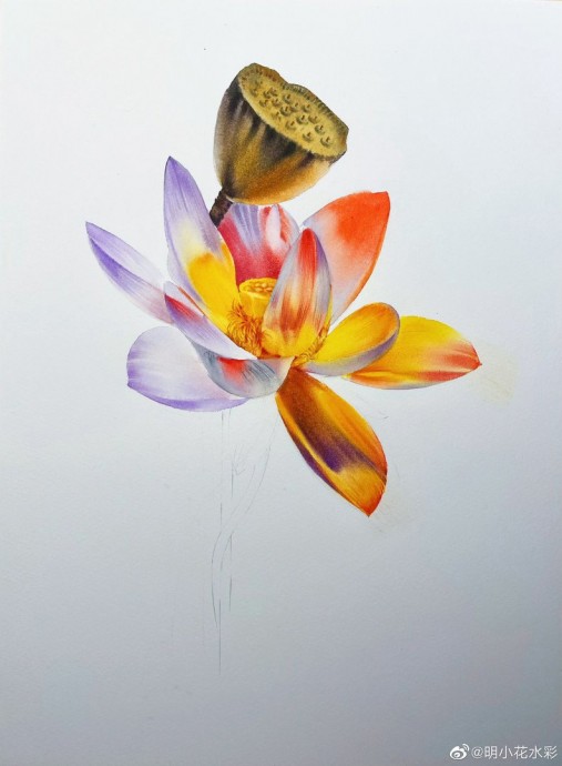 Урок рисования акварелью: лотос