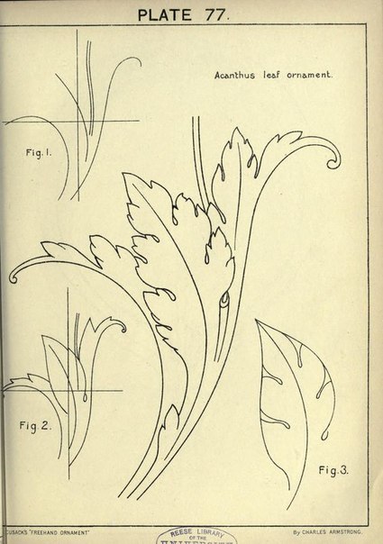 Как научиться рисовать красивые орнаменты