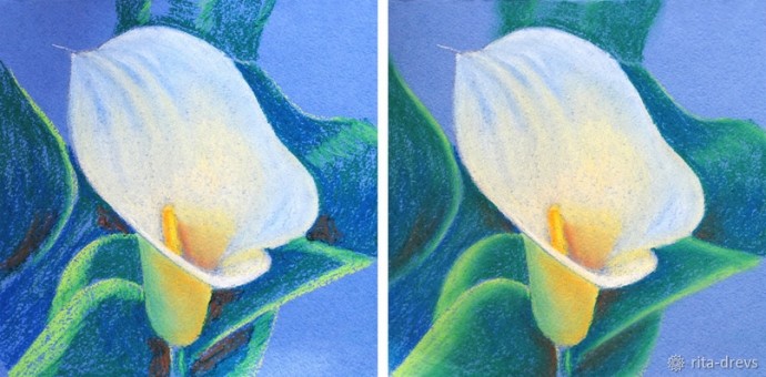 Рисуем пастелью изящный цветок каллы