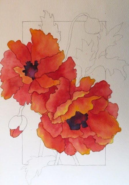 Маки акварелью