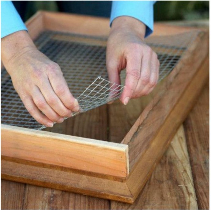 Панно из суккулентов