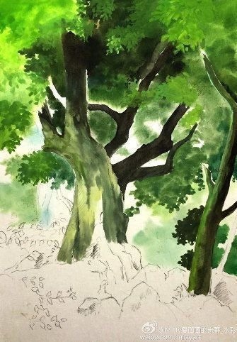 Урок рисования акварелью: старое мощное дерево