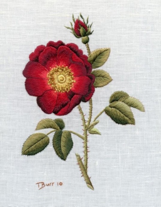 Вышивка художественной гладью: идеи для вдохновенного творчества