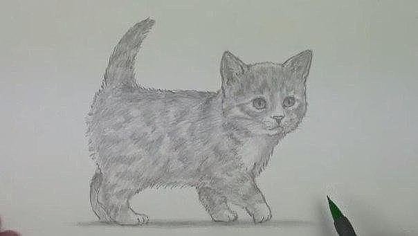 Рисуем пушистого котенка поэтапно