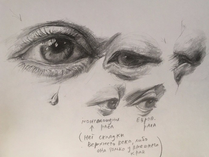 Учимся рисовать части лица