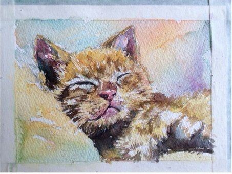 ​Рисуем спящего котенка