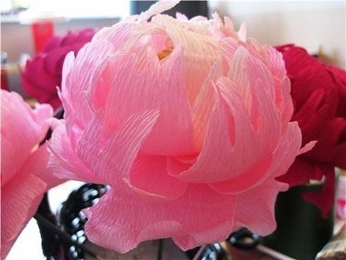 Конфетные пионы из гофрированной бумаги