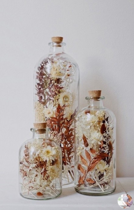 ​Сухоцветы в бутылках