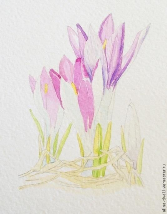 Нежные крокусы