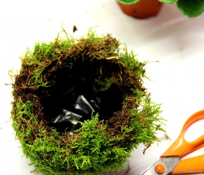 Лесной мох в интерьере