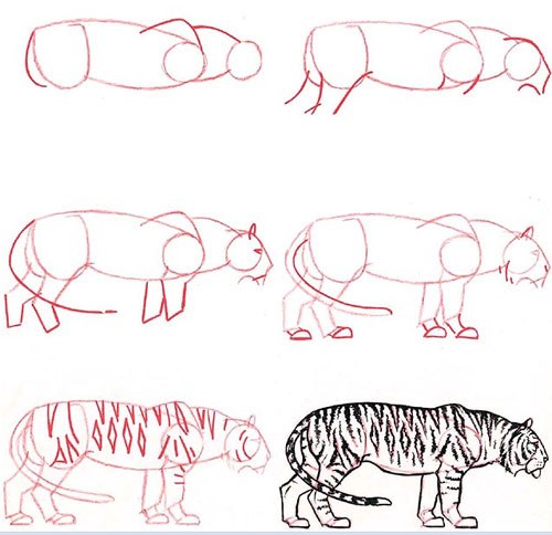 Учимся рисовать животных