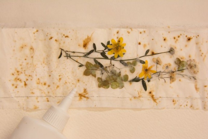 Закладка-гербарий "Мгновения"